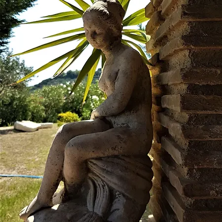 Belvedere Otel