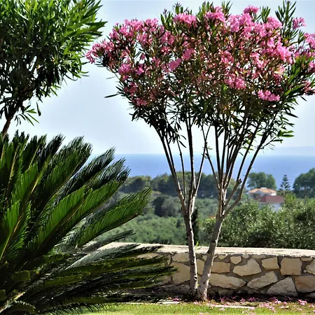Belvedere Zákynthos by