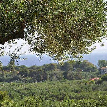 Belvedere 3*